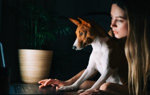How to Know if Macbook Is Charging How to Know if Macbook Is Charging